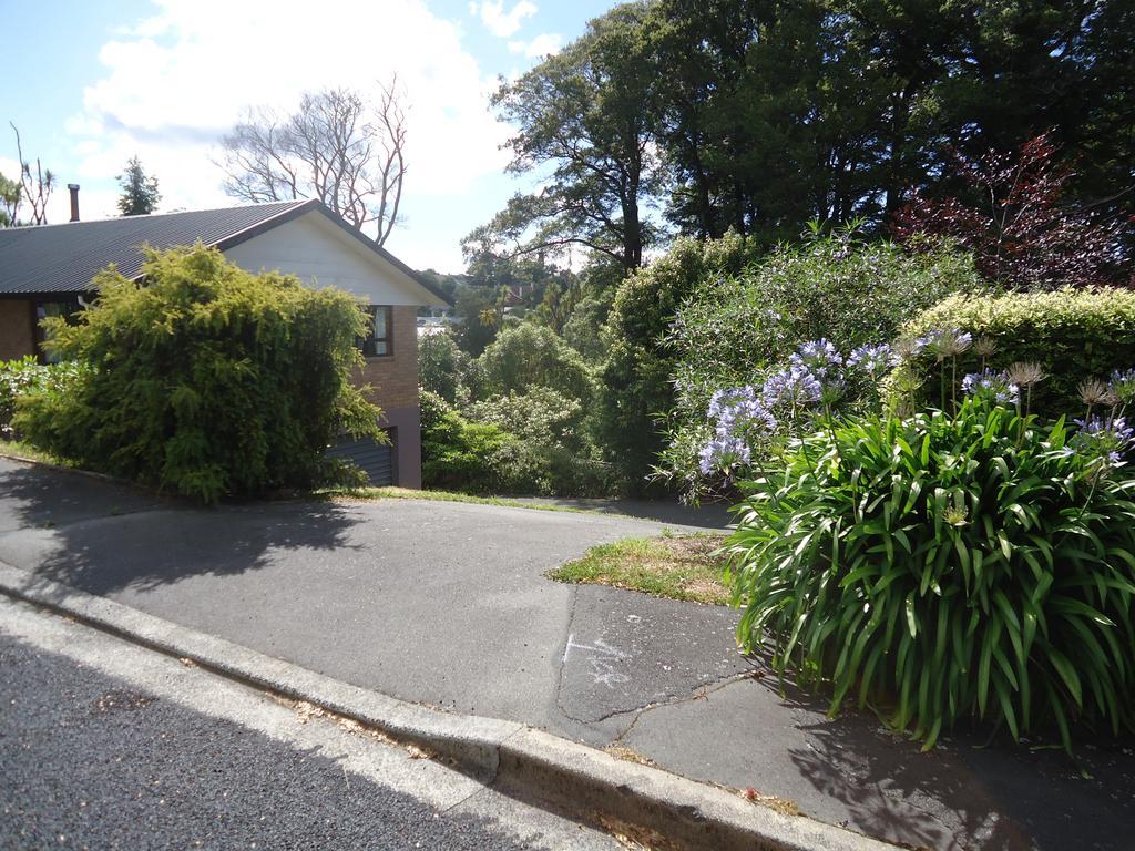 Wakari Holiday Home Dunedin Eksteriør bilde